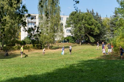 Discgolf s Živou Lípou