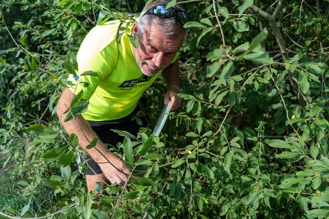 Discgolf s Živou Lípou