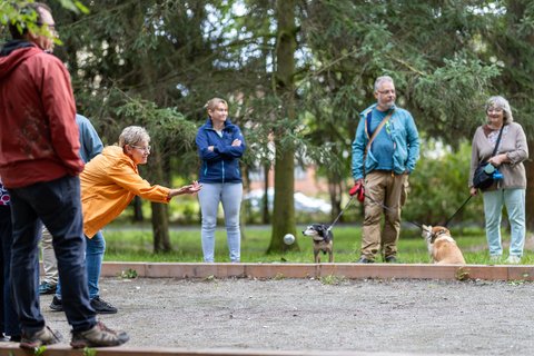 Petanque s Živou Lípou