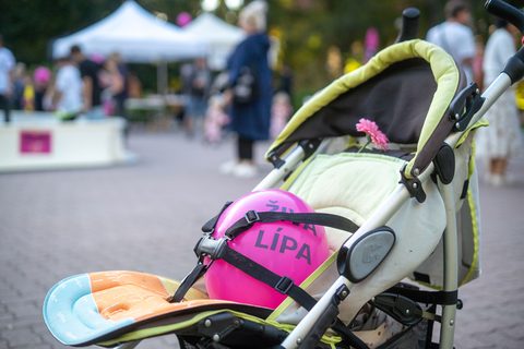Živý park s Živou Lípou / rodinné odpoledne a koncerty